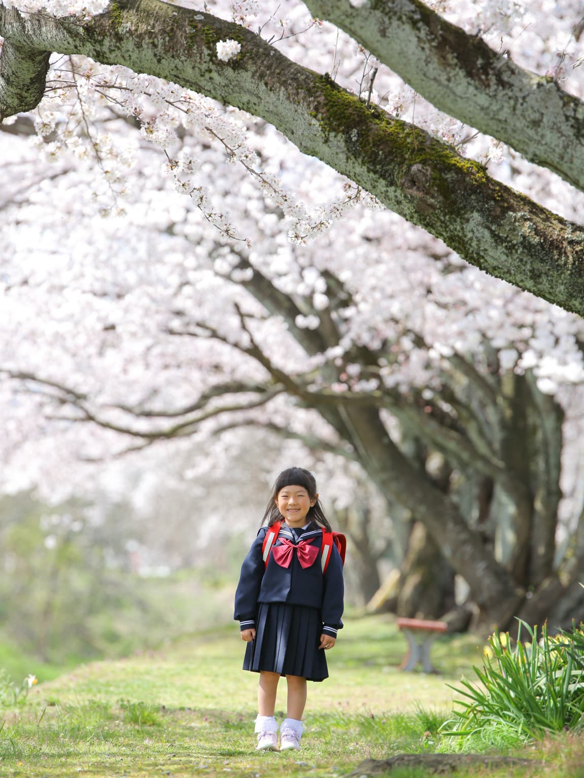 福井アオバフォトのカメラマンが越前市で撮った入学の写真