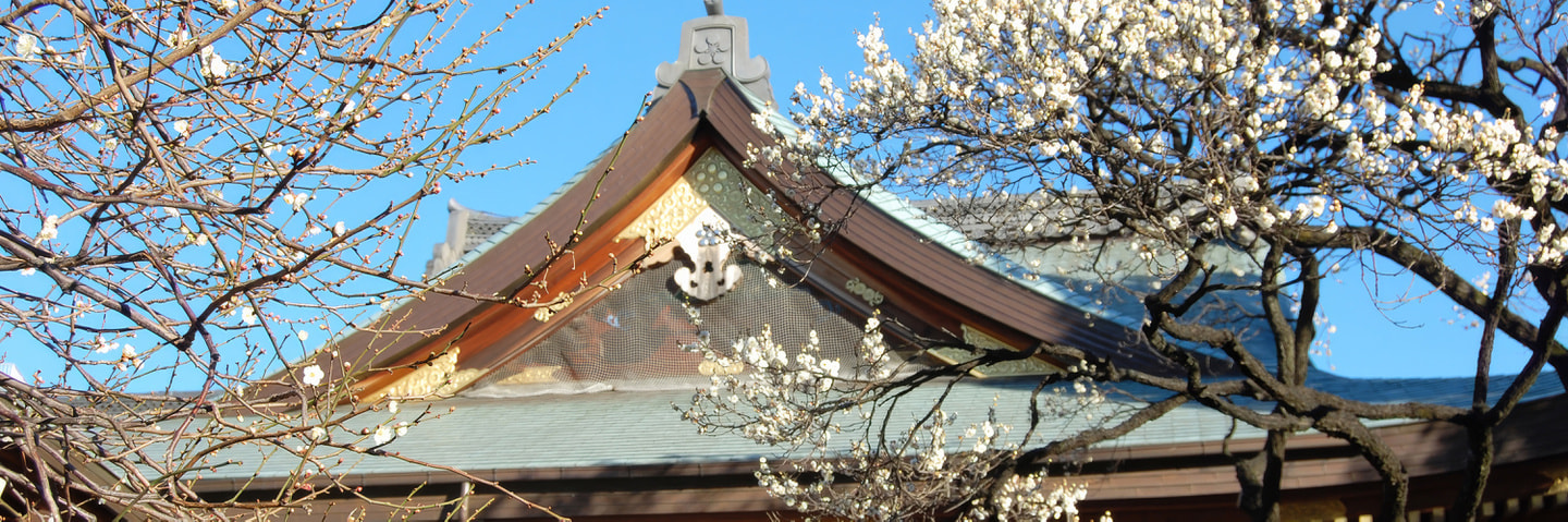 神社の屋根と桜の写真